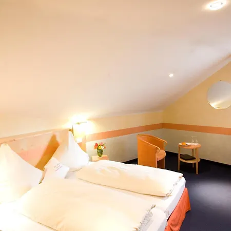 Hotel-restaurant Steuermann 3* Karlsruhe