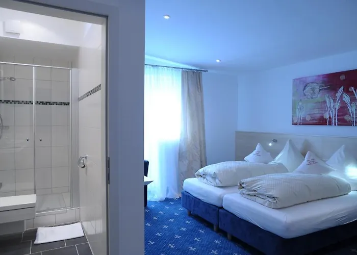 Hotel-restaurant Steuermann 3* Karlsruhe